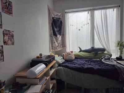 Room for rent in Flatbush, BK - $1,067 Main Photo