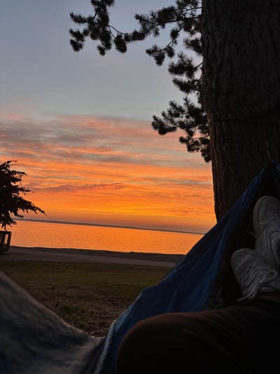 Room wanted in Burlington, WA Main Photo