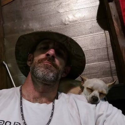 Room wanted in Brevard, Transylvania County, NC Main Photo