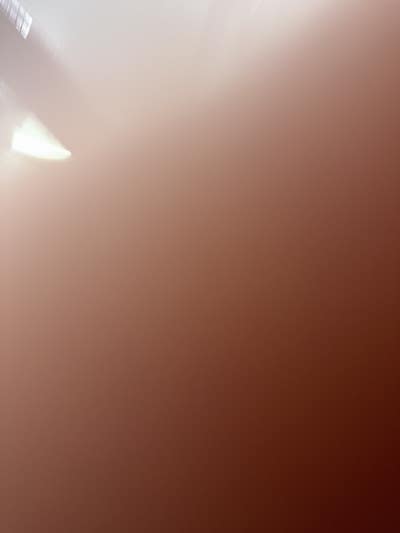 Room wanted in Bronx, NY Main Photo