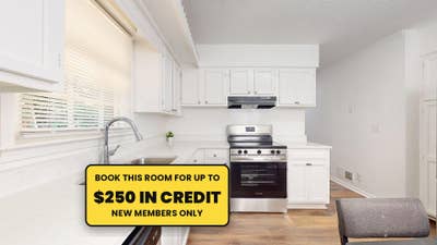  BRAND NEW  • Cleaning Service • Fast WiFi • 2 fri Main Photo