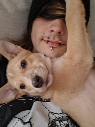 Room wanted in Fort Worth, TX Main Photo