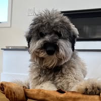 Room wanted in Van Nuys area Los Angeles, CA Main Photo