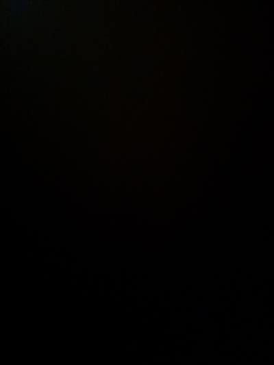 Room wanted in NYC Main Photo