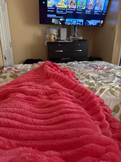 Room wanted in Queens, NY Main Photo