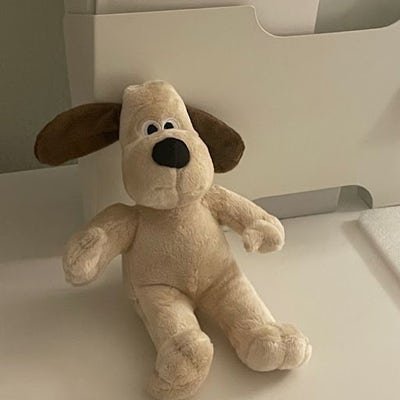 Room wanted in Los Angeles, CA Main Photo