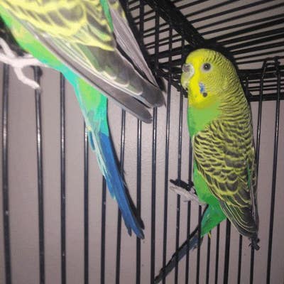 Room wanted in Newark, NJ Main Photo