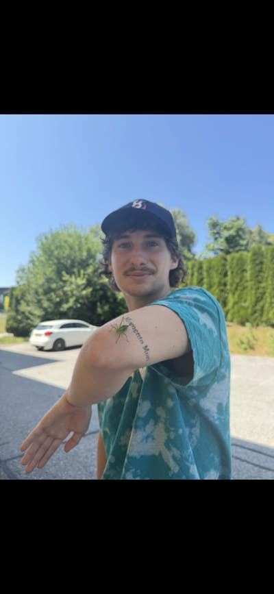 Looking for room/roomate(s) Main Photo