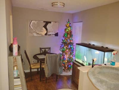 Nice apartment  Main Photo
