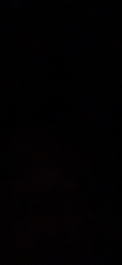 Room wanted in Tampa, FL Main Photo
