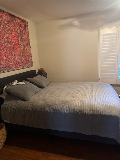 Professional Roomate Wanted - 2BR/2BA Home in EaDo Main Photo