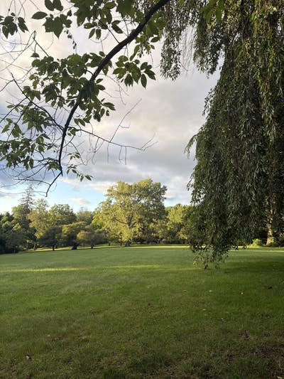 Room wanted in Edison, NJ Main Photo