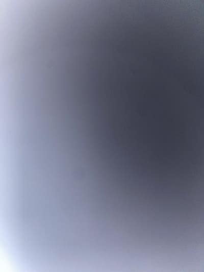 Room wanted in Edison, NJ Main Photo