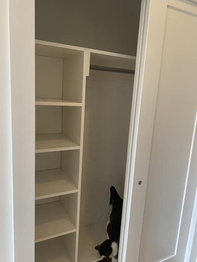 Room Available in Bed-Stuy Apartment Main Photo