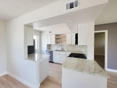 Fully remodeled 1BR Luxury Condo Main Photo