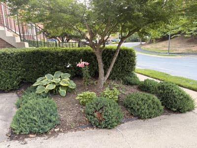 Furnished Room, Townhouse near GMU Shuttle Stop Main Photo