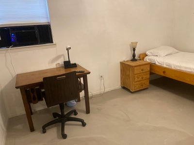 Room available for a single professional  Main Photo