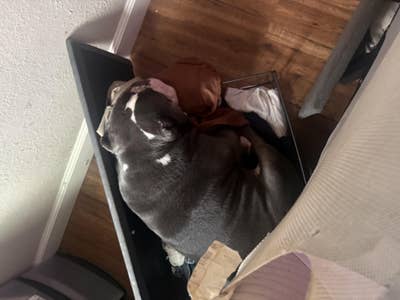 Room wanted in Pinole, CA Main Photo