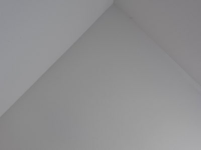Room wanted in Chicago Main Photo