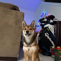Room wanted in San Juan Capistrano, CA Main Photo