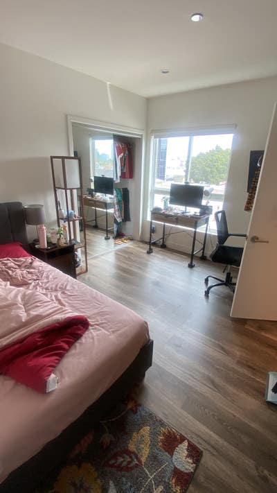 1 bedroom 1 bathroom co living shared space   Main Photo