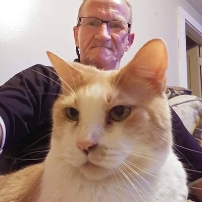 Room wanted in Queens Village, Queens, NY Main Photo