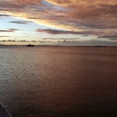 Room wanted in Fort Lauderdale Main Photo