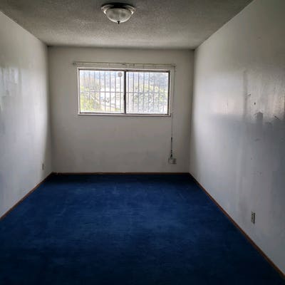 Private room in plant-filled 2b/1ba Main Photo