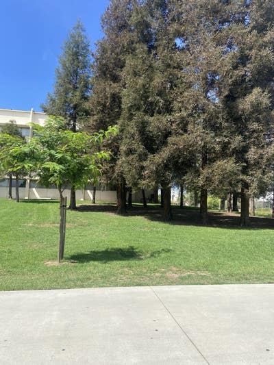 Room wanted in Northridge, Los Angeles, CA Main Photo