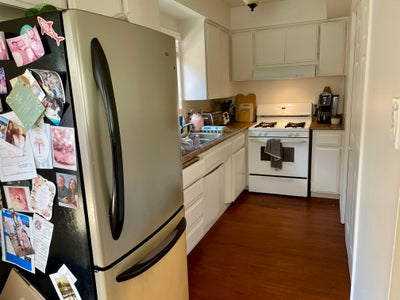 One housemate needed for beach duplex Main Photo