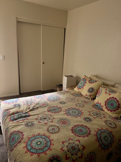 College Student or Divorced? Main Photo