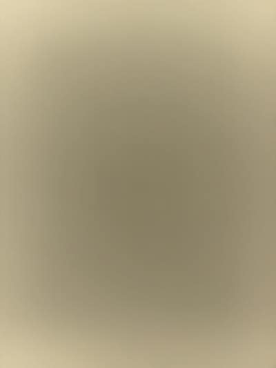 Room wanted in New York Main Photo