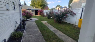 Room for rent in a clean and maintained house  Main Photo