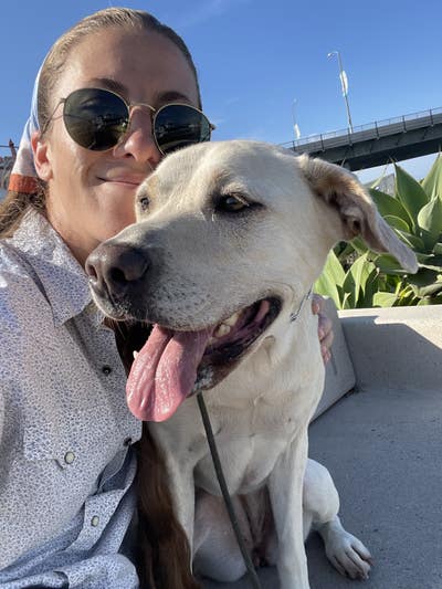 Looking for room to rent with dog Main Photo