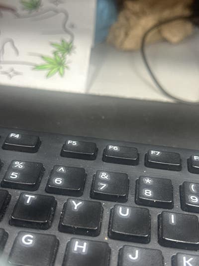 Room wanted in Bronx, NY Main Photo