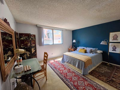 Large BR, (Furnished or Not) Private BA, & More    Main Photo