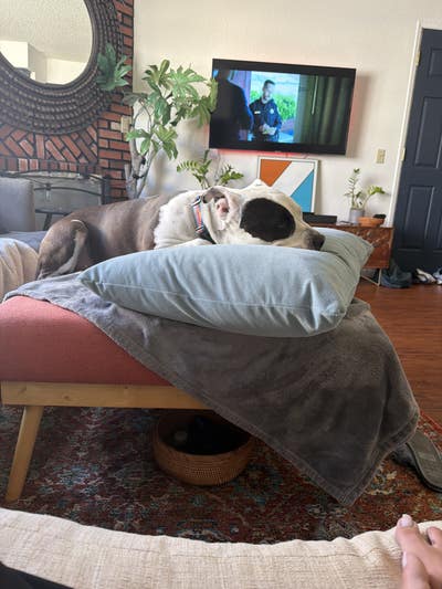 Room wanted in Garden Grove, CA Main Photo