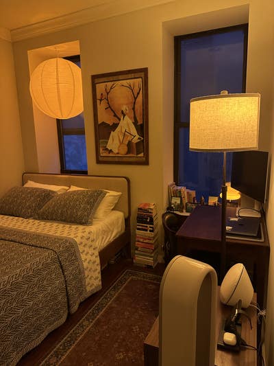 Room avl in Kips Bay/Gramercy starting 9/1 or 9/15 Main Photo