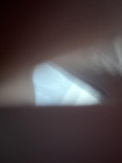 Room wanted in South Los Angeles, Los Angeles, CA Main Photo