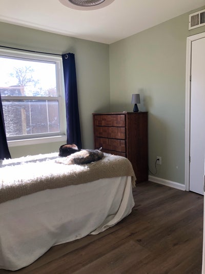 Looking for quiet guy to share Richardson home.    Main Photo