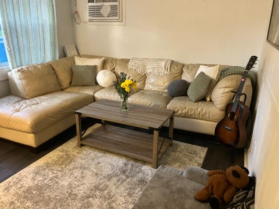 Room for rent in cozy 2BR close to downtown St. Pt Main Photo