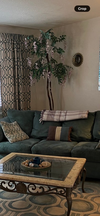 Looking for female roommate(s) $700-$800 month Main Photo