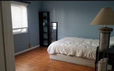 Looking Roommate  Main Photo
