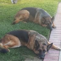 Room wanted in Mission Viejo, CA Main Photo