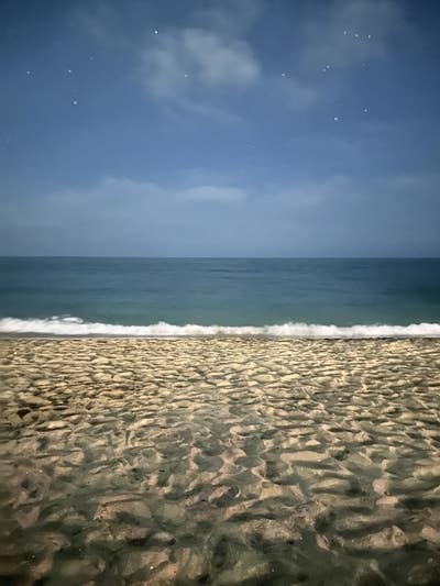 Room wanted in San Diego County, CA Main Photo