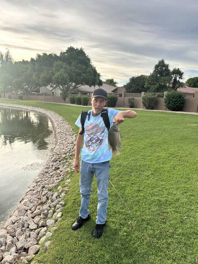 Room wanted in Phoenix Main Photo