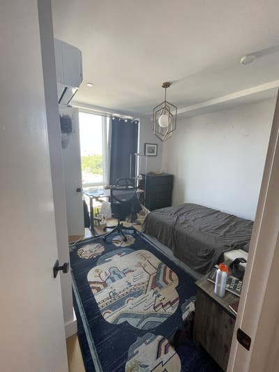 Queen-Sized Room in Williamsburg Main Photo