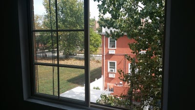 Amazing room with view on garden Main Photo