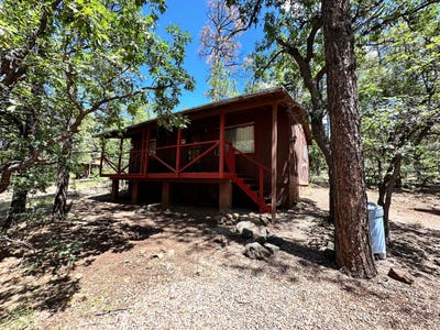 Cabin in the Pines Main Photo