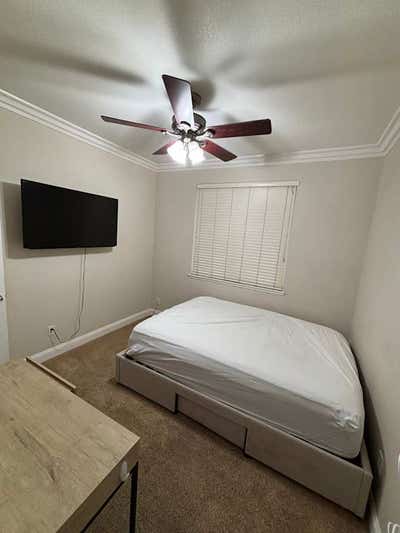 Looking for someone to rent 1 room! Main Photo